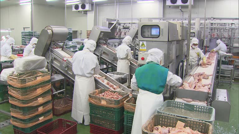 About Us CHICKEN WINGS SUPPLIERS