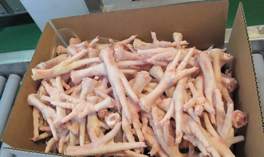 How to Find Reliable Suppliers of Frozen Chicken Paws